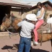 Hitchin' Post Stables - Fun for all ages during all seasons.  Horseback Rides, Wagon Rides and Sleigh Rides in Winter.