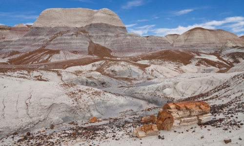 Petrified Forest National Park