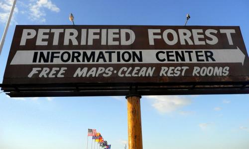 Petrified Forest Arizona