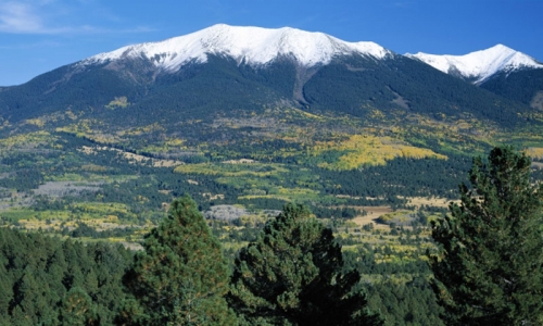 Flagstaff Attractions Kachina Peaks Wilderness