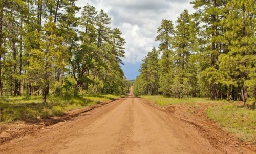 Flagstaff Activities Scenic Drive