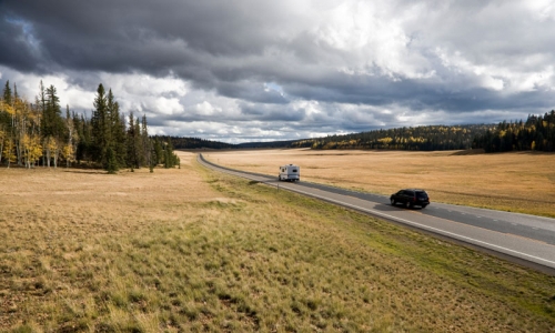 Arizona Kaibab National Forest