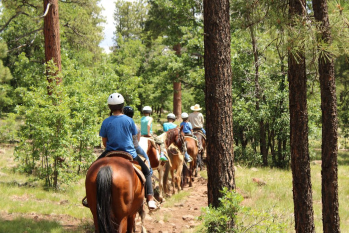 AZ High Mountain Trail Rides — Mormon Lake, AZ