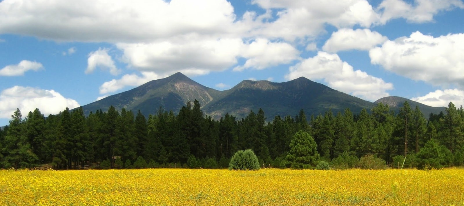 Arizona Vacation Rental Homes — Flagstaff, AZ