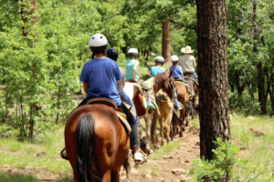AZ High Mountain Trail Rides - kids 7+ & adults