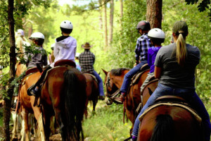 AZ High Mountain Trail Rides - kids 7+ & adults