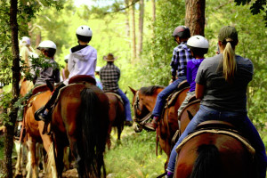AZ Mountain Trail Rides
