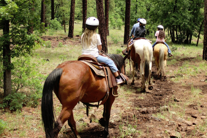 AZ High Mountain Trail Rides — Mormon Lake, AZ