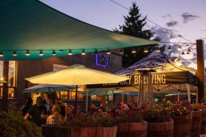 Dark Sky Brewing Co.