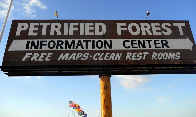 Petrified Forest in Flagstaff
