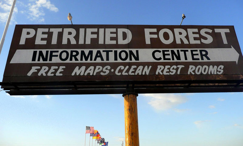 Petrified Forest in Flagstaff