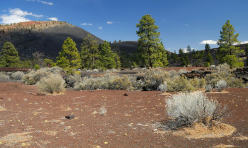 Sunset Crater Volcano