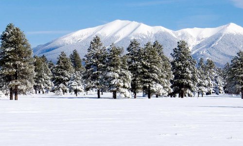 Winter Packages