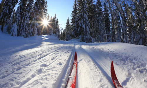 Cross Country Skiing