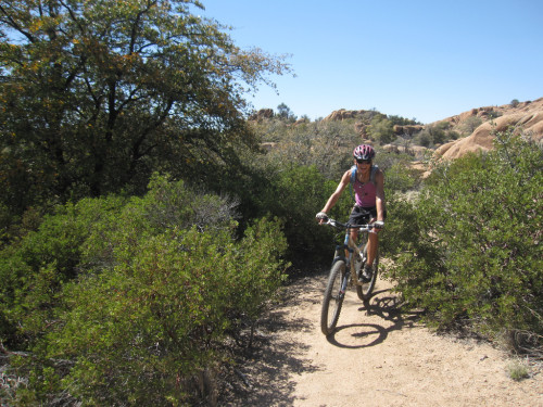 Biking & Bike Rentals