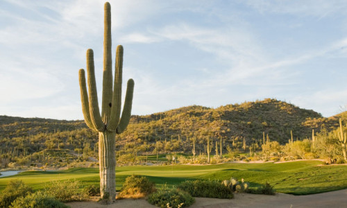 Golf Courses