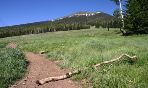 Hiking