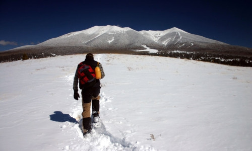 Snowshoeing